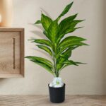 Faux Everlasting Dieffenbachia Amoena Plant With Pot - 2.4 Feet
