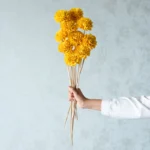Musa Sola Wood Rose Flower Stick (Yellow) - Set Of Ten