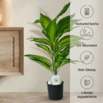 Faux Everlasting Dieffenbachia Amoena Plant With Pot - 2.4 Feet - Image 4